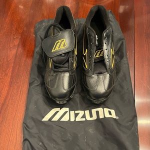 Mizuno Low Top Metal Baseball Cleats